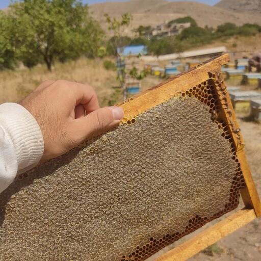 عسل گون مومی  ارگانیک سر پوشیده دارای عطربینظیرگیاهان کوهستان مناسب مصرف روزانه